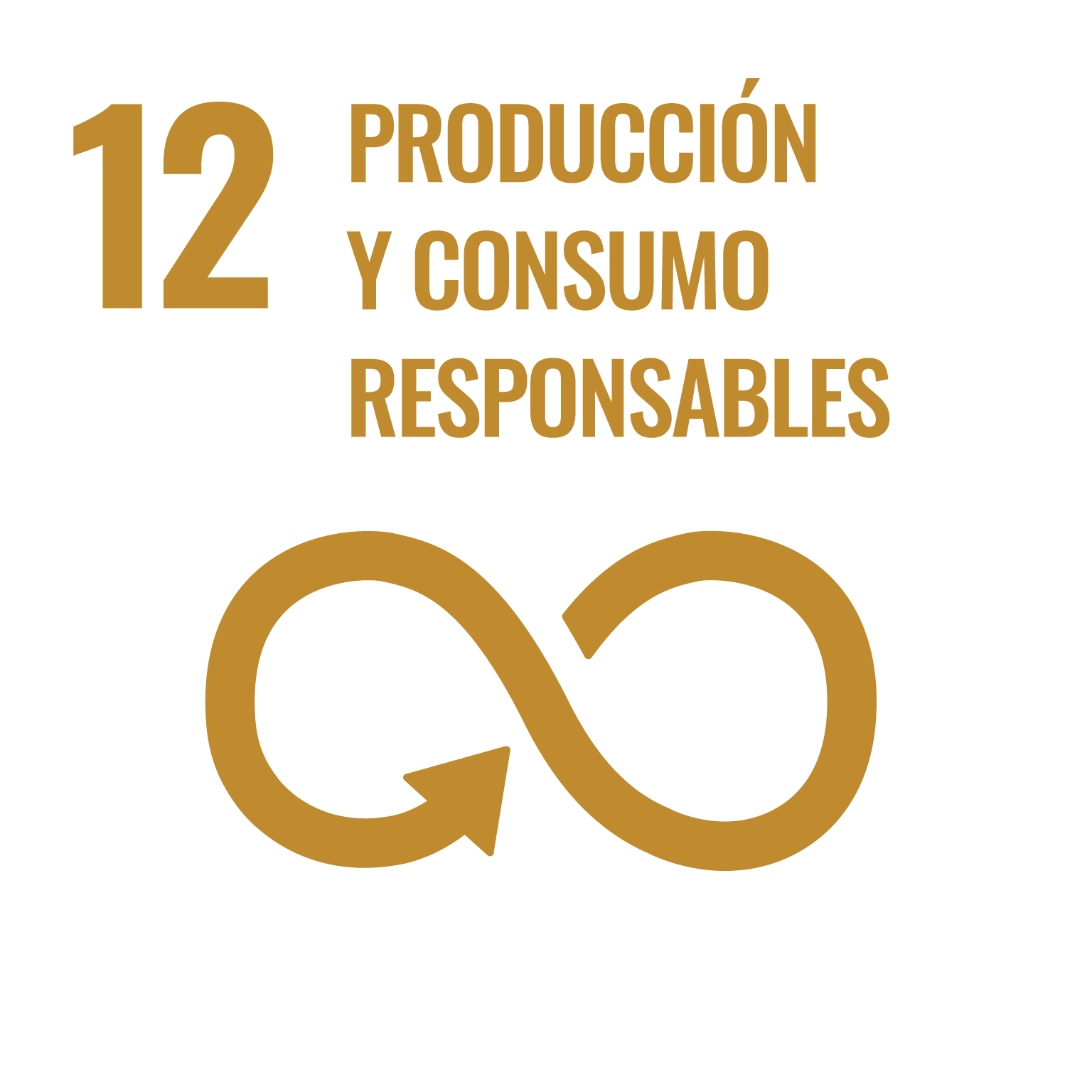 ODS 12 Producción y consumo responsables