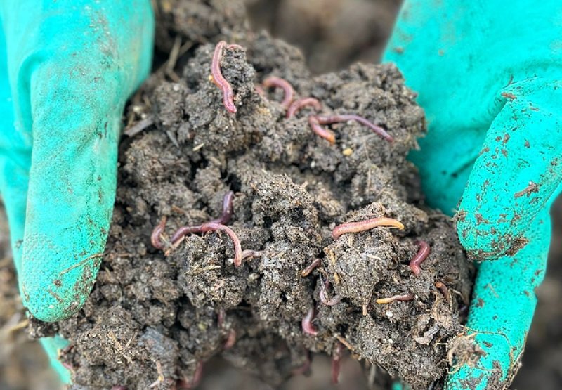 Buenas prácticas ambientales en finca